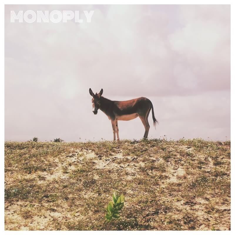 Monoply - Not The End Album
